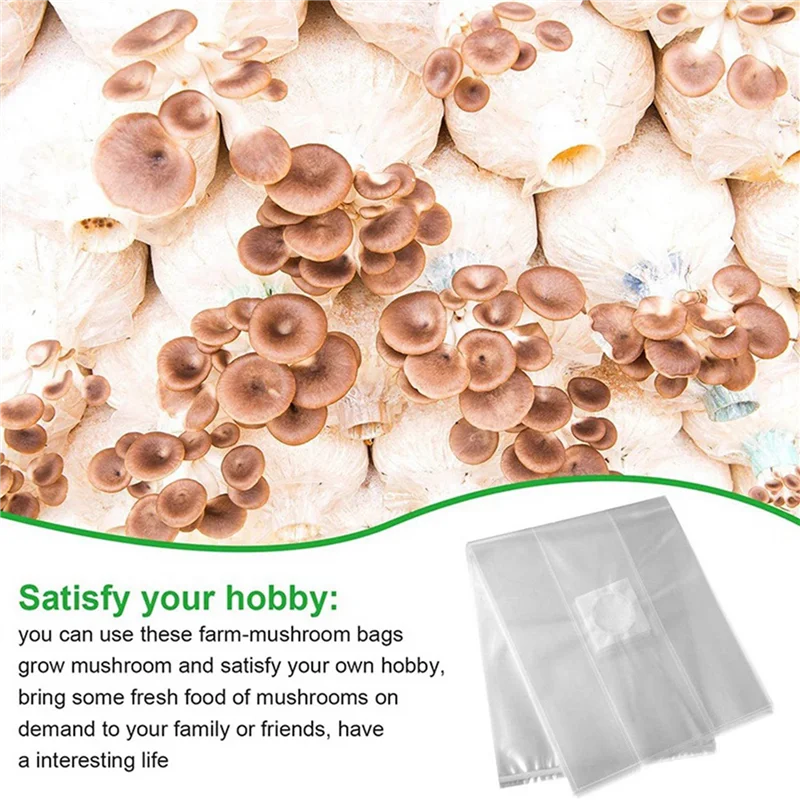 AA81-300Pcs Mushroom Growing B - огляд і ціна Mushroom Spawn Bag