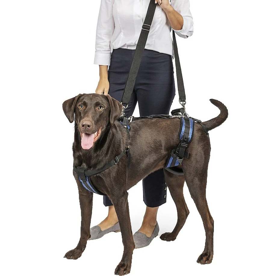 

High Quality Adjustable Size Handicapped Support Dog Harness