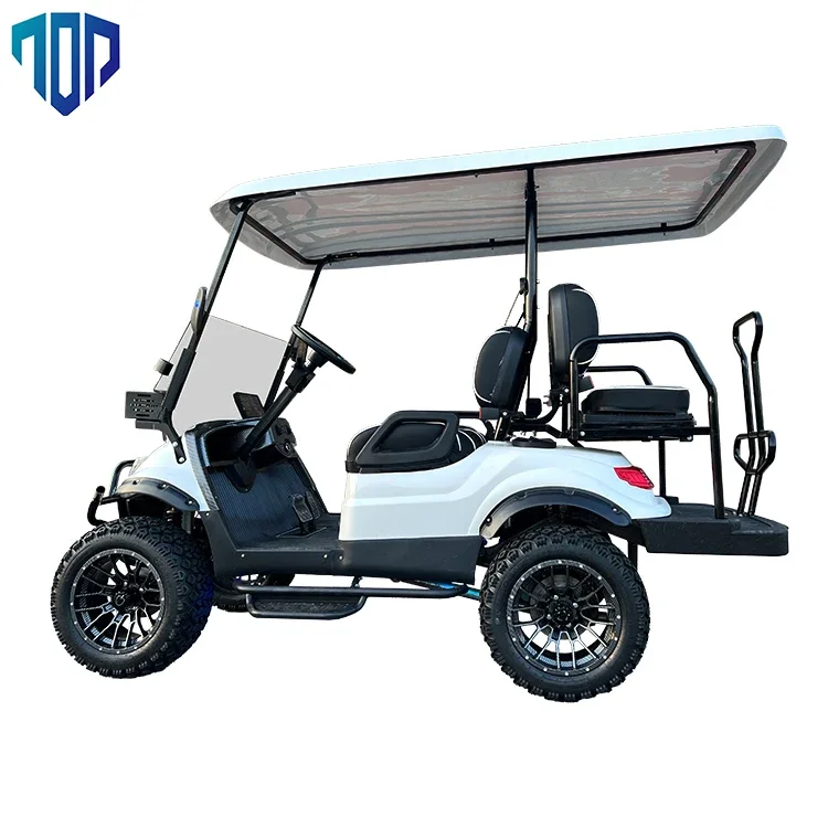 Nieuwe 48V Lithium Batterij Goedkope Prijzen 4-wiel 4 Seat Electric Follow Golfkar