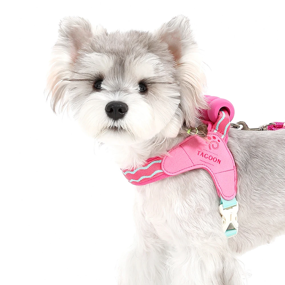Thumbnail 4 - #63 Best Puppy Harnesses to Buy In 2026
