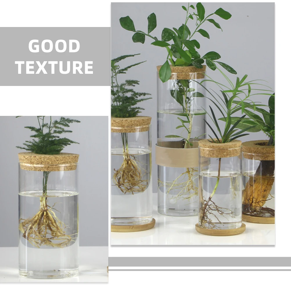 

2 Sets Hydroponic Vase Clear Glass Flower Holder 6 5x12 Cm Wedding Centerpieces Floral Arrangements Decor Glass