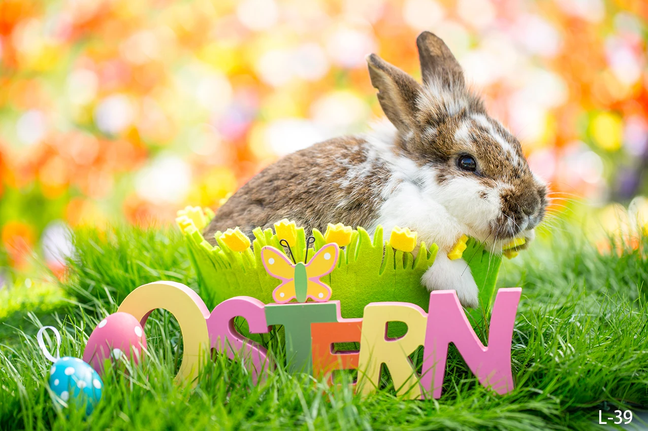 Фоны для фотосъемки с изображением милого кролика зайчика луга красочных яиц Счастливой Пасхи весеннего дня рождения солнечного света цветов