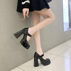 Woman High Heels Shoes 12cm French Mary Jane Shoes Thick Heel 2025 New Waterproof Platform Super Single Shoes Sandalias De Tacón