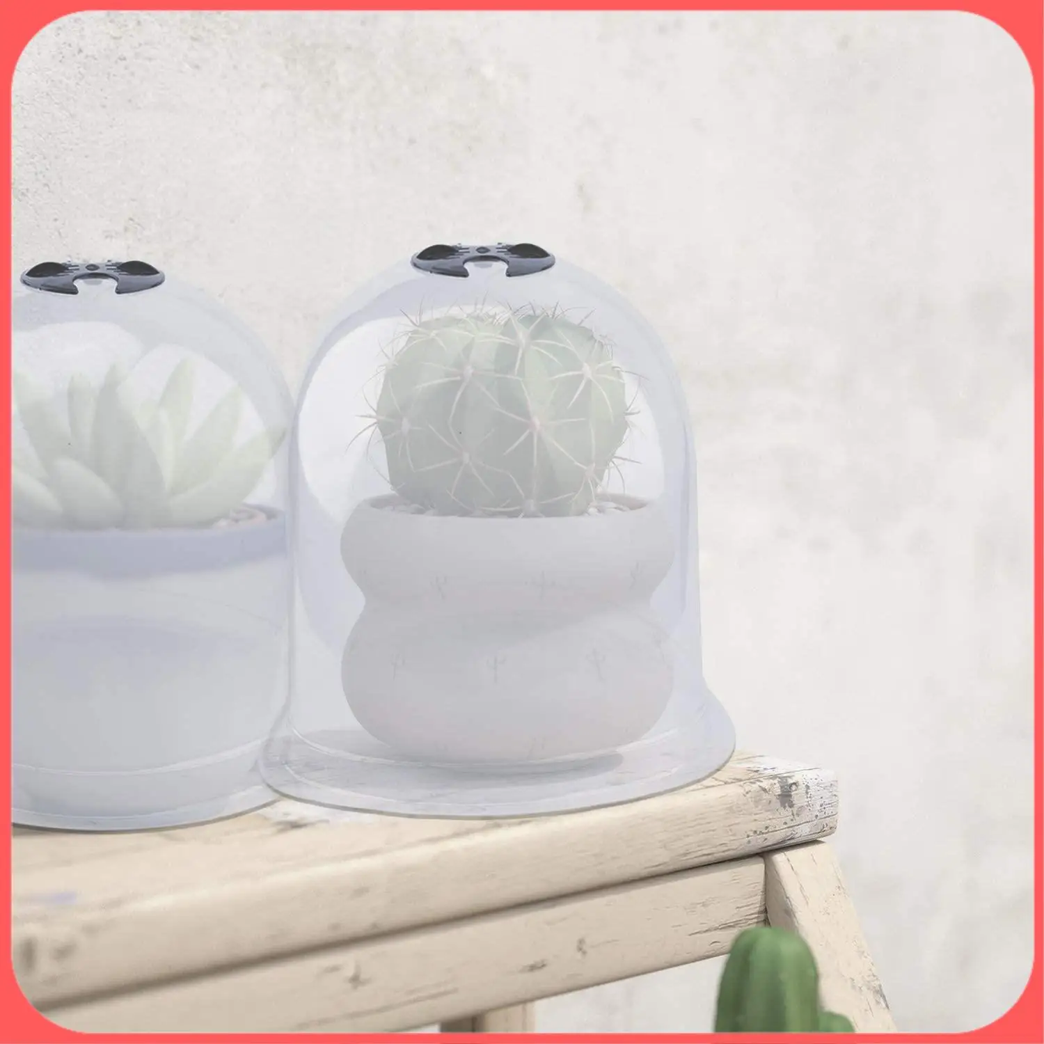 

AA89-10 Pcs Reusable Plastic Mini Greenhouse Garden Cloche Dome Plant Covers Frost Guard Freeze Protection With Securing Pegs