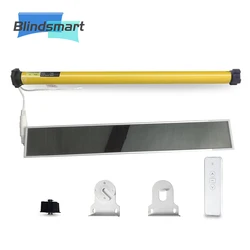 Blindsmart Rechargable Roller Blind Motor with Solar Panel for 38mm Tube Motorized Electric Roller Blind Shade RF Remote Control