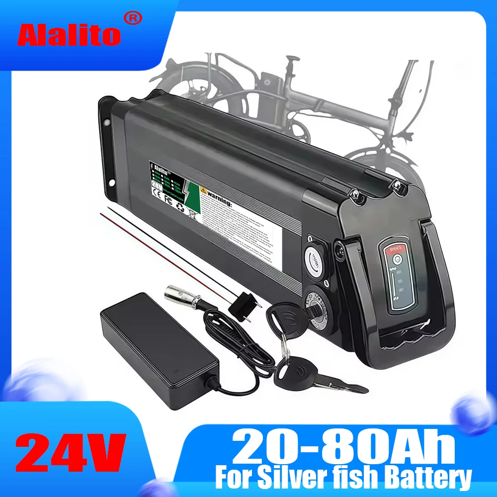 Air transportation,For folding power assisted bicycle Silver Fish model,24V,20Ah-100Ah