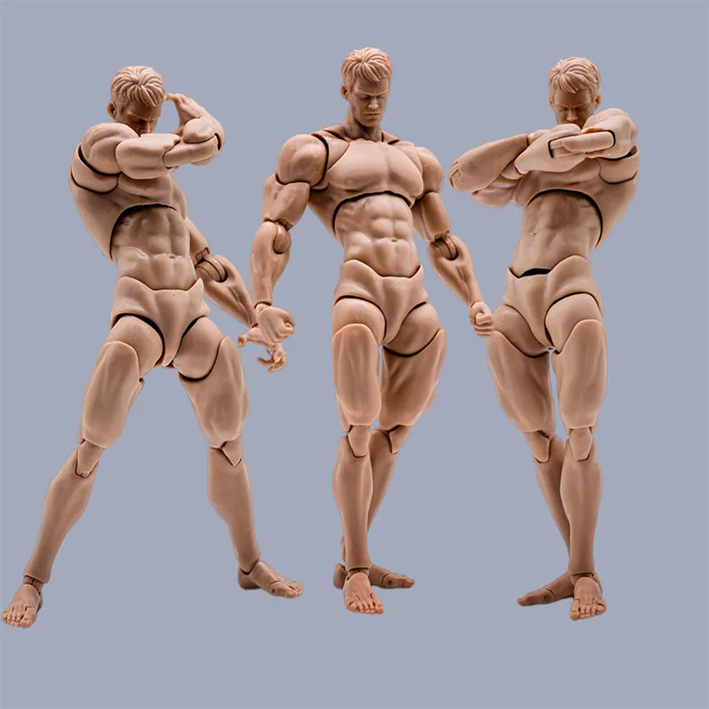 

Wind Toys 1/12 Male Super Flexible Joint Body 16cm Man Muscle Strong Action Figure Doll Replacement Body Model with Head Sculpt