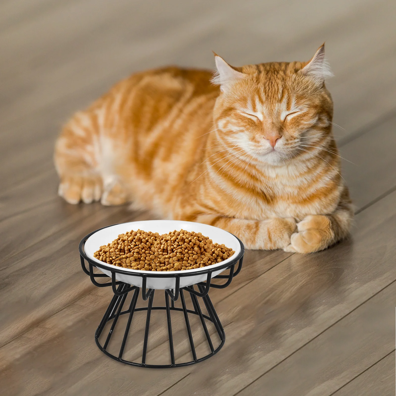 

Elevated Cat Bowl Ceramic Pet Feeding Bowl with High Base Rack for Cats Dogs Sturdy Non-Slip Design Lovely Pattern Daily Use