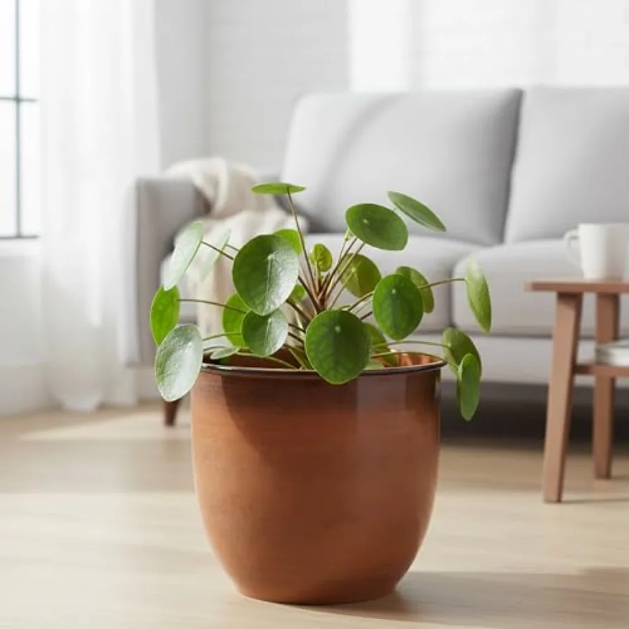 Indoor metal cachepot for decorative plant display, powder-coated terra cotta finish, glossy surface, includes removable drain
