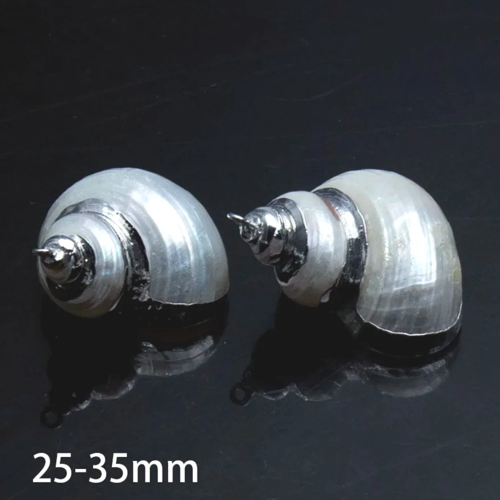 Conch Shape 25-35Mm… - image