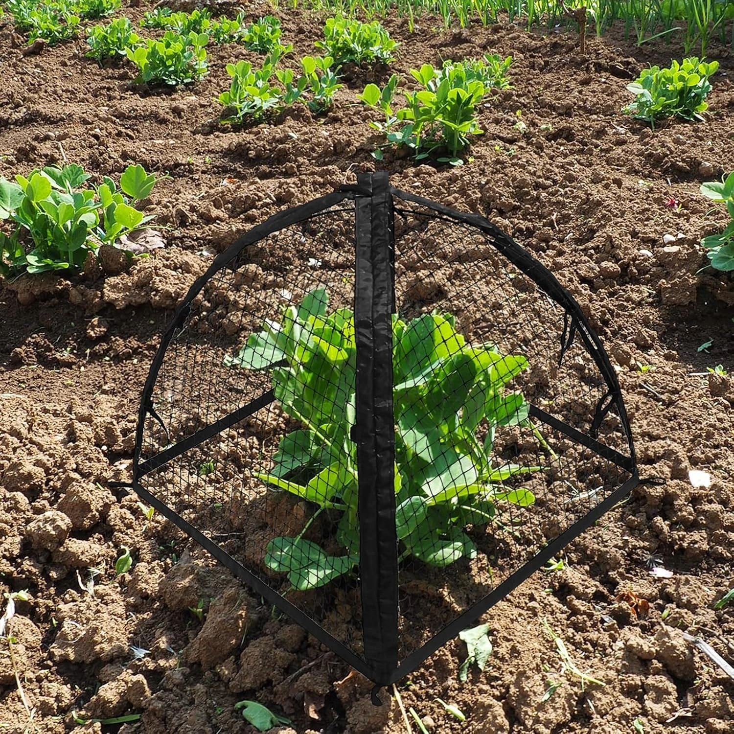 Tenda a rete da giardino da 22 - Garden Netting Cover recensione e prezzo