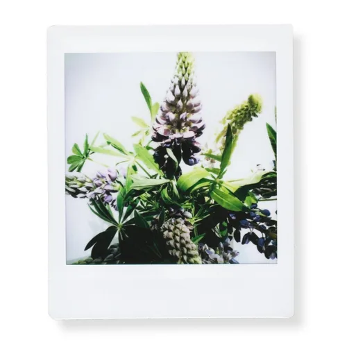 Imagen 2 del producto Fujifilm Instax película cuadrada papel fotográfico de borde blanco (10-100 hojas) para Fuji SQ10 SQ6 SQ1 SQ20 película instantáneas cámara SP-3Printer