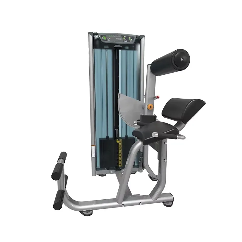 

YTYIN High Quality Gym Fitness Equipment Back Extension For Strength Training Commercial Body Building Back Exercise Machine
