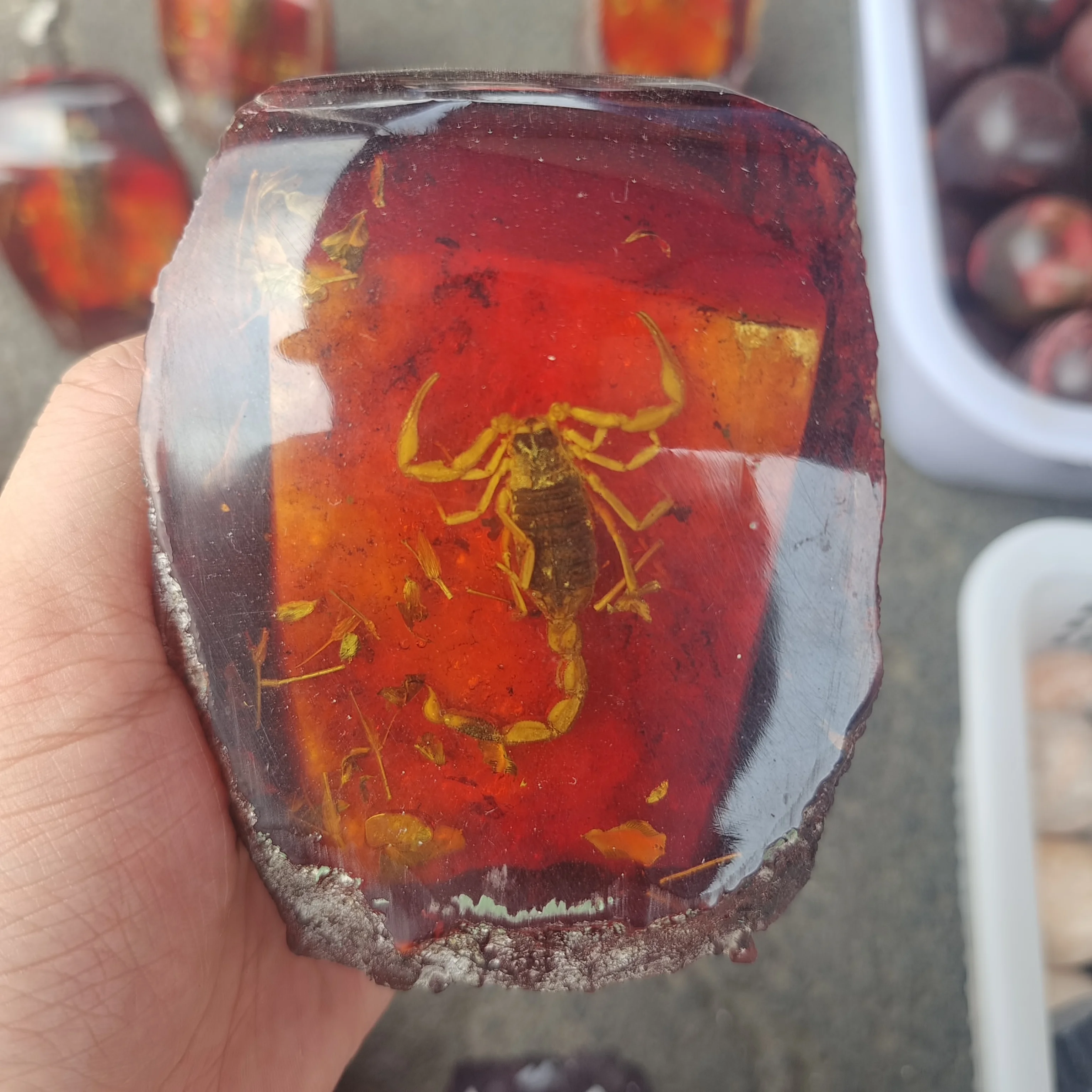 Big 1pc  Collectible Amber Inner Inlay Scorpion Rare Lucky Cone Imitation amber beeswax cicada And Scorpion Statue Home Decor