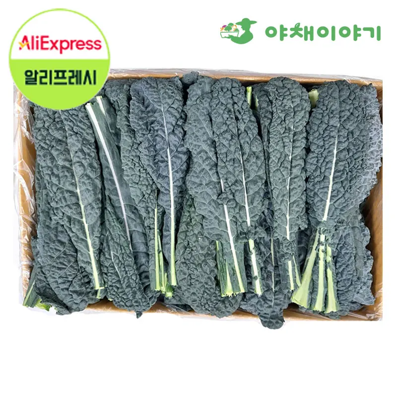 قصة الخضار Newgreen 100 جرام خضروات مقلية مقلية عالية الجودة