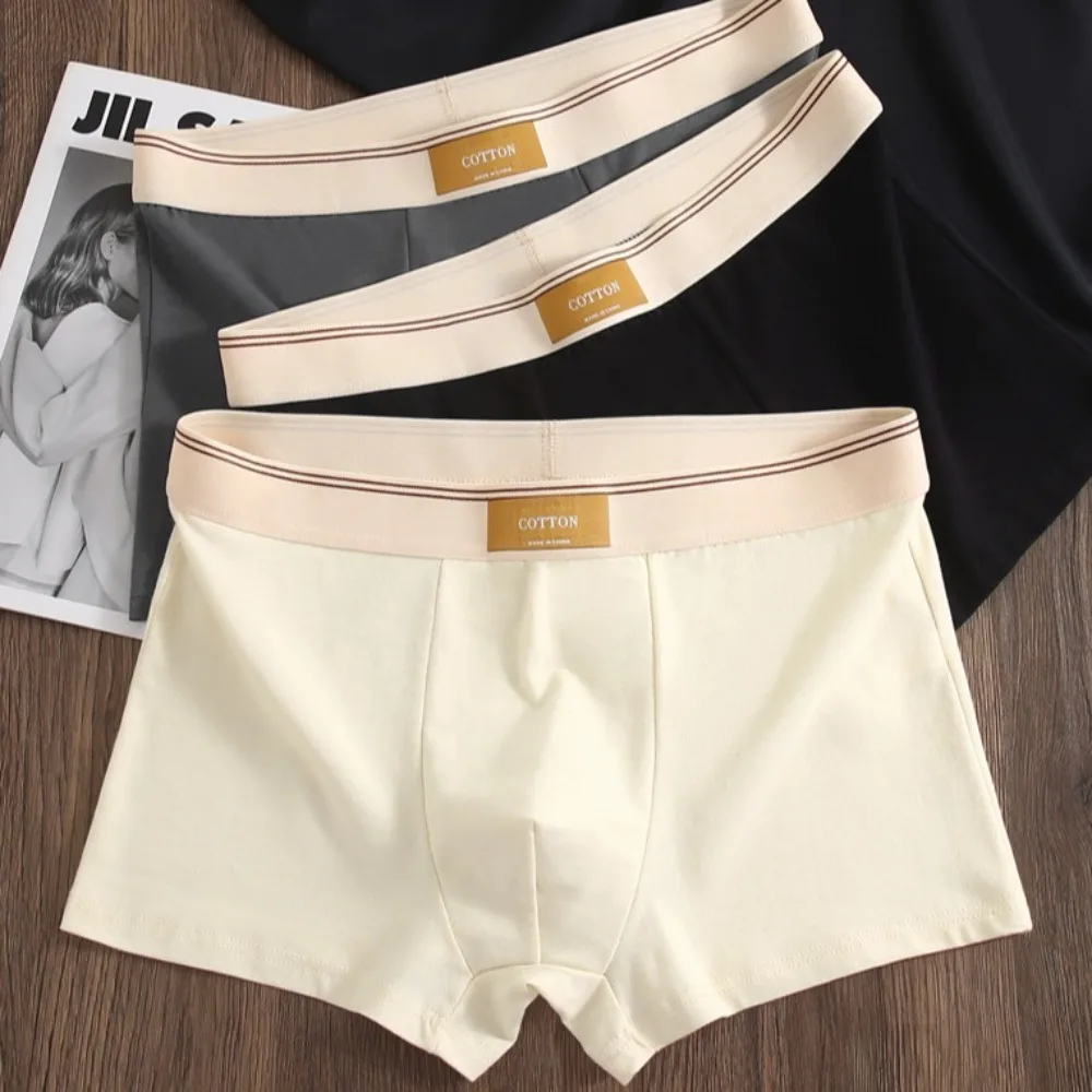 4Pcs Fashion Solid Color Men's Boxer Briefs L-4XL Seamless Underwear for Man Mid Waist Elastic Men Panties Boys