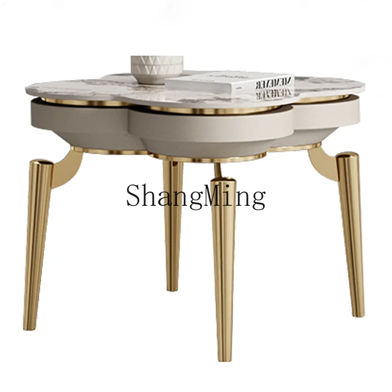

LXY simple modern creative stainless steel light luxury living room marble rock slab coffee table