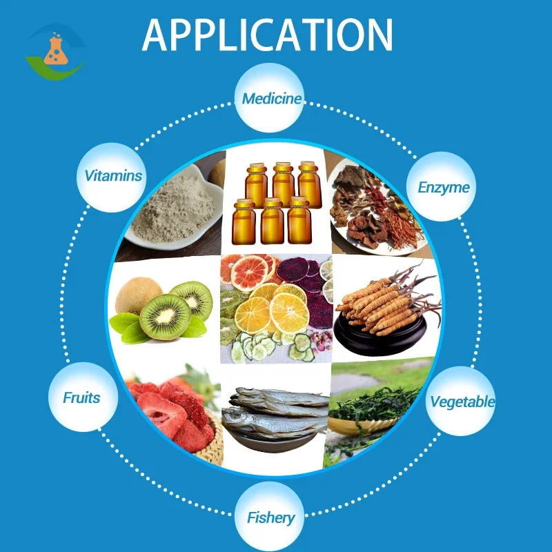 3 кг, 6 кг, 10 кг, машина для лиофилизации фруктов, цена, маленькая мини-лабораторная вакуумная сушильная машина для замораживания, домашняя сушилка для пищевых продуктов