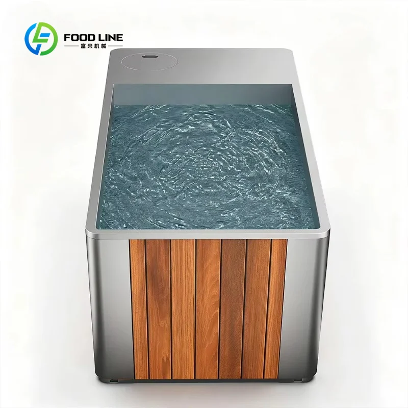Customized Modern Luxury Stainless Steel Chiller Pools All One Cold for for Villa Commercial Indoor Outdoor