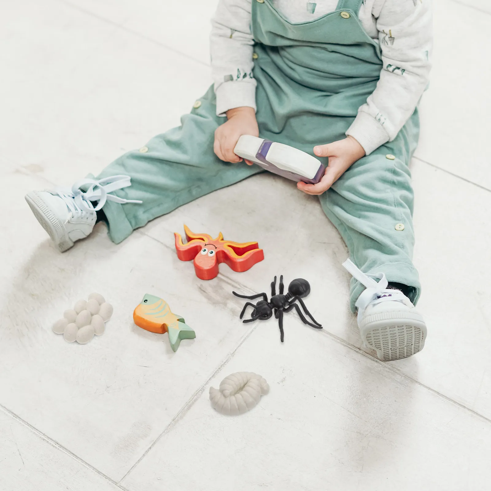 1Set Worker Ant Growth Cycle Educational Set Vivid Biological Development Display for Kids Early Learning Classroom Home Decor