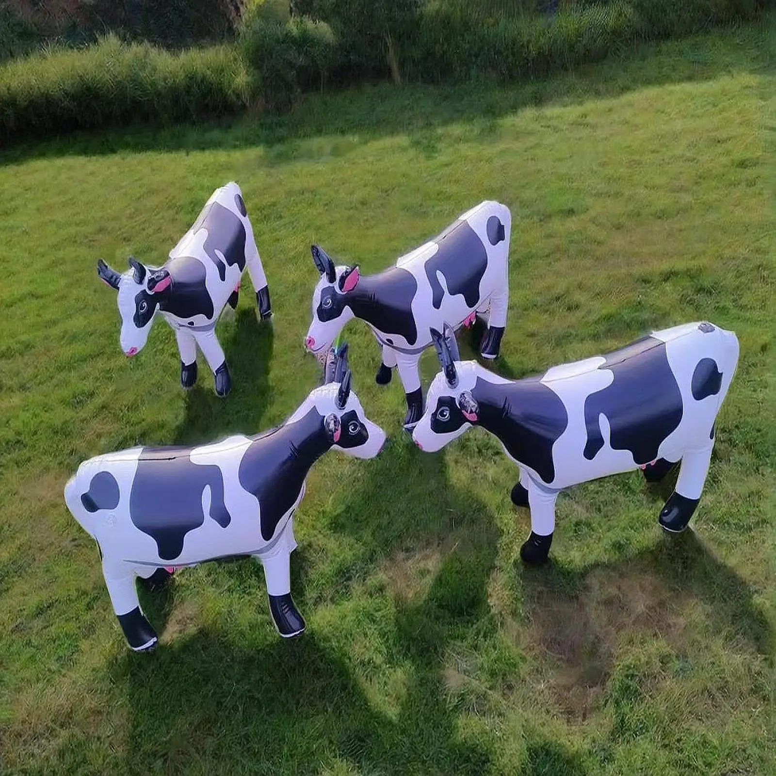 

Inflatable Animal Cow Themes Parties Easy to Inflate 90cmx60cm Cow Figure for