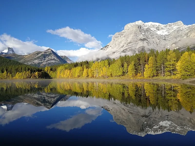 

BAYCKRC SEAS HARKS DC 5"FPV Drone Frame (6mm Arm) - Supports 5" Paddles, for Freestyle/Racing FPV Drones (Overhead Flying)