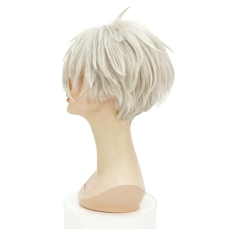 Anime Blue Lock Seishiro Nagi Seishiro Cosplay Wig 30cm Silver White Hair Heat Resistant Cosplay Anime Wigs