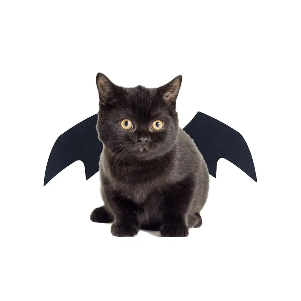 

Clothing Cat Halloween Costume Pet Accessories Apparel for Cat Party Supplies Dog Dress Up Bat Wings Dog Costumes Pet Supplies