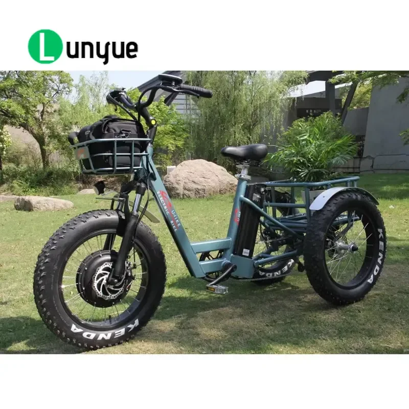 New Frame Front Hub Motor 3 Wheel Fat Tire Electric Bike Pedal Assist Cargo E Bicycle for Adult Commuting Delivery