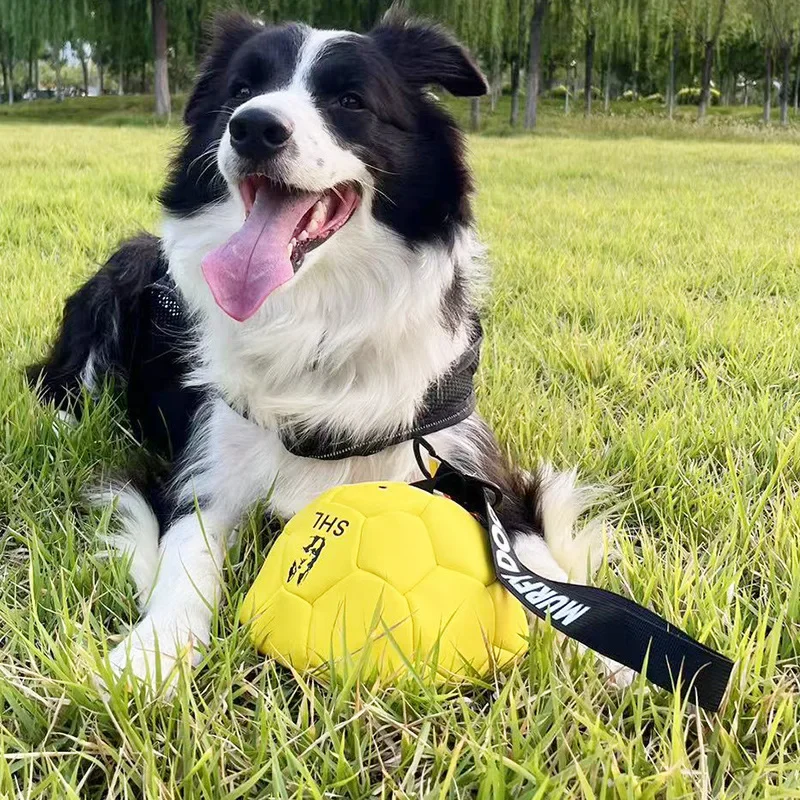 Bite-proof Pet Dog Ball Toy Cowhide Harmless Teeth Interactive Throwing Training Game Soccer Ball for Dog Pet Training Supplies