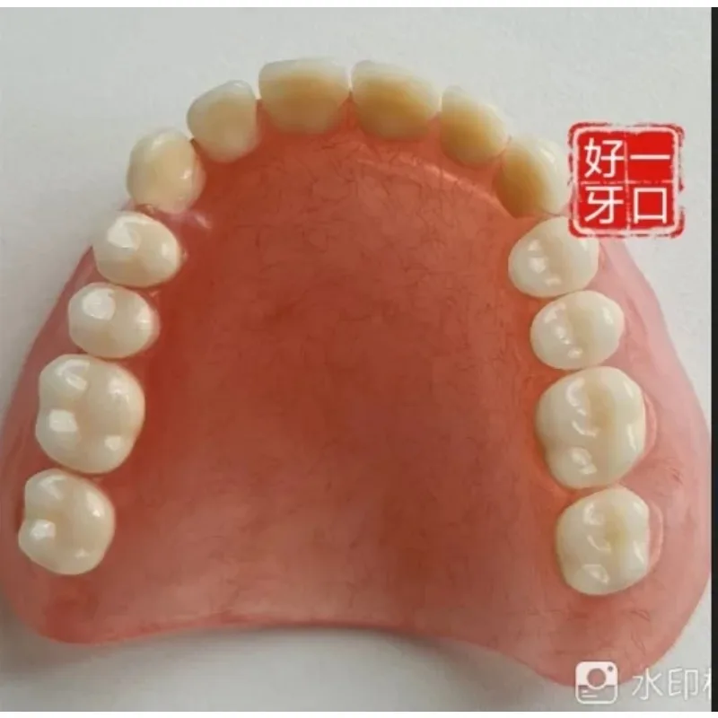 Full Dentures Elderly Dentures Oral Display Care Dentistry Elderly Model Denture Activity Simulation Denture Model image 3