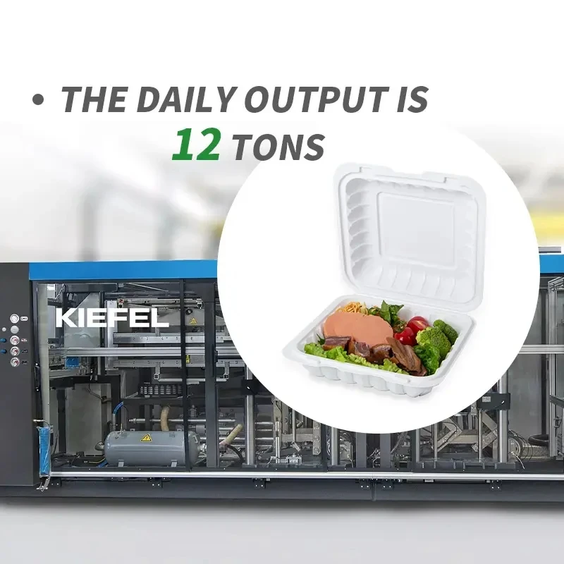 Disposable restaurant Togo container, plastic plate salad 3-compartment food box, eco-friendly container with lid