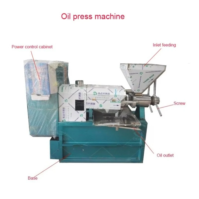 DE QDMECH Premium Capacity Pressers New Design Olive Oil Cold Press Machine with High Quality