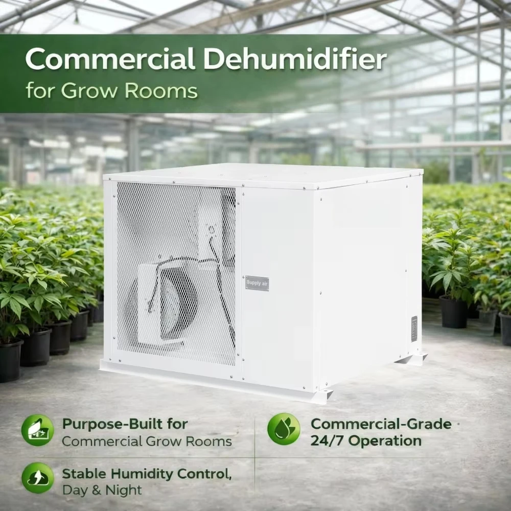 

Hemp Growing Dehumidifier, High Efficiency Compressor for Large Plant Rooms