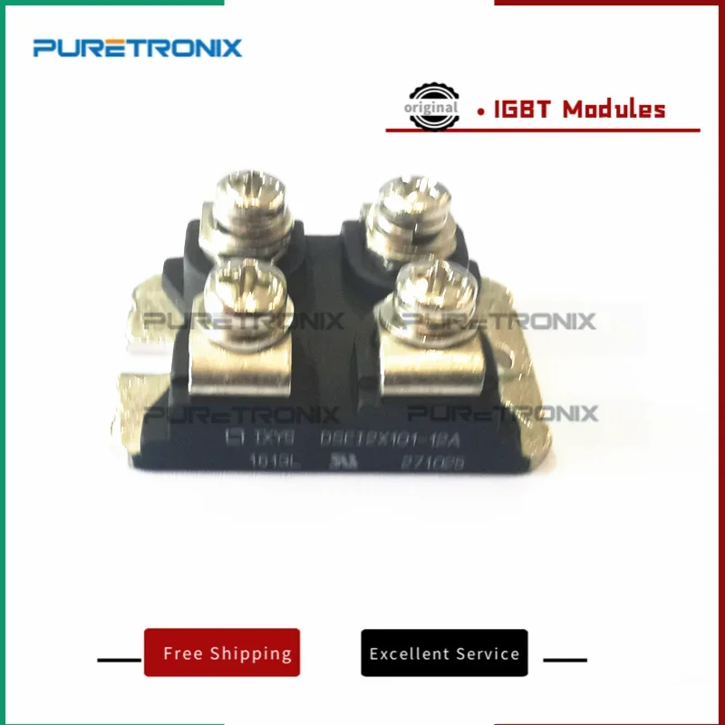 ใหม่ Original DSEL2X101-06A DSEL2X101-12A Fast Recovery ไดโอดโมดูล