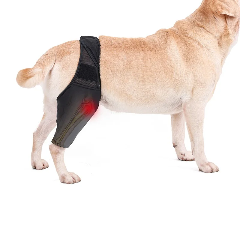 Imagem -03 - Dog Canine Joelho Duplo Brace Wrap Double Metal Splint Hinged Suporte Flexível Brace para k9 Acl Ccl Luxating Patella Cruciate