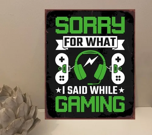 1x Sorry Gaming Quote Metal Plaque Sign Gift House Novelty (mt213) --Tin Sign