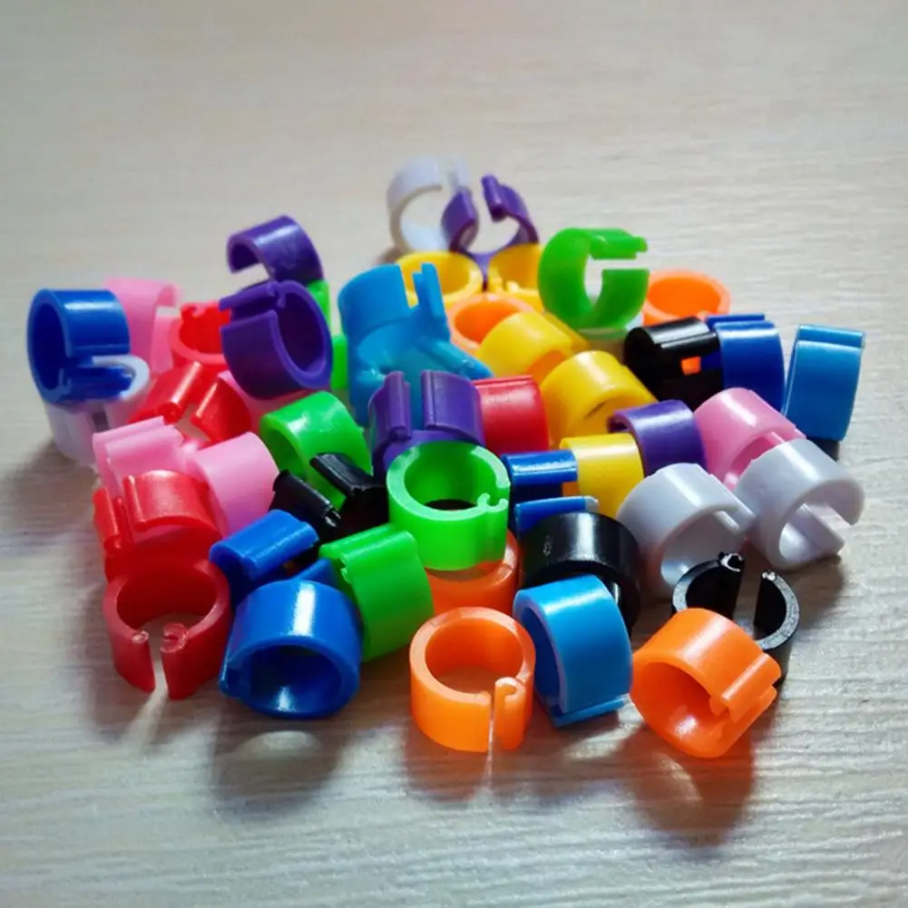 100Pcs 8mm Birds Leg Clips  Pigeon Leg Bands Poultry Bird Parrot Pigeons Clip Rings Plastic Mix Color Small Pet Birds Foot Ring