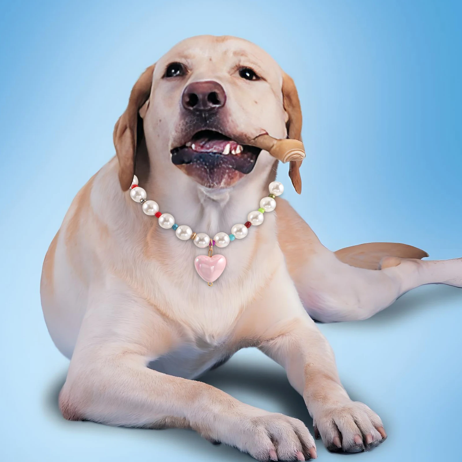 

Pet Decorative Necklace Candy Colors Heart Bead Design Lightweight Necklaces for Cats Dogs Collars Accessories Colored Beads