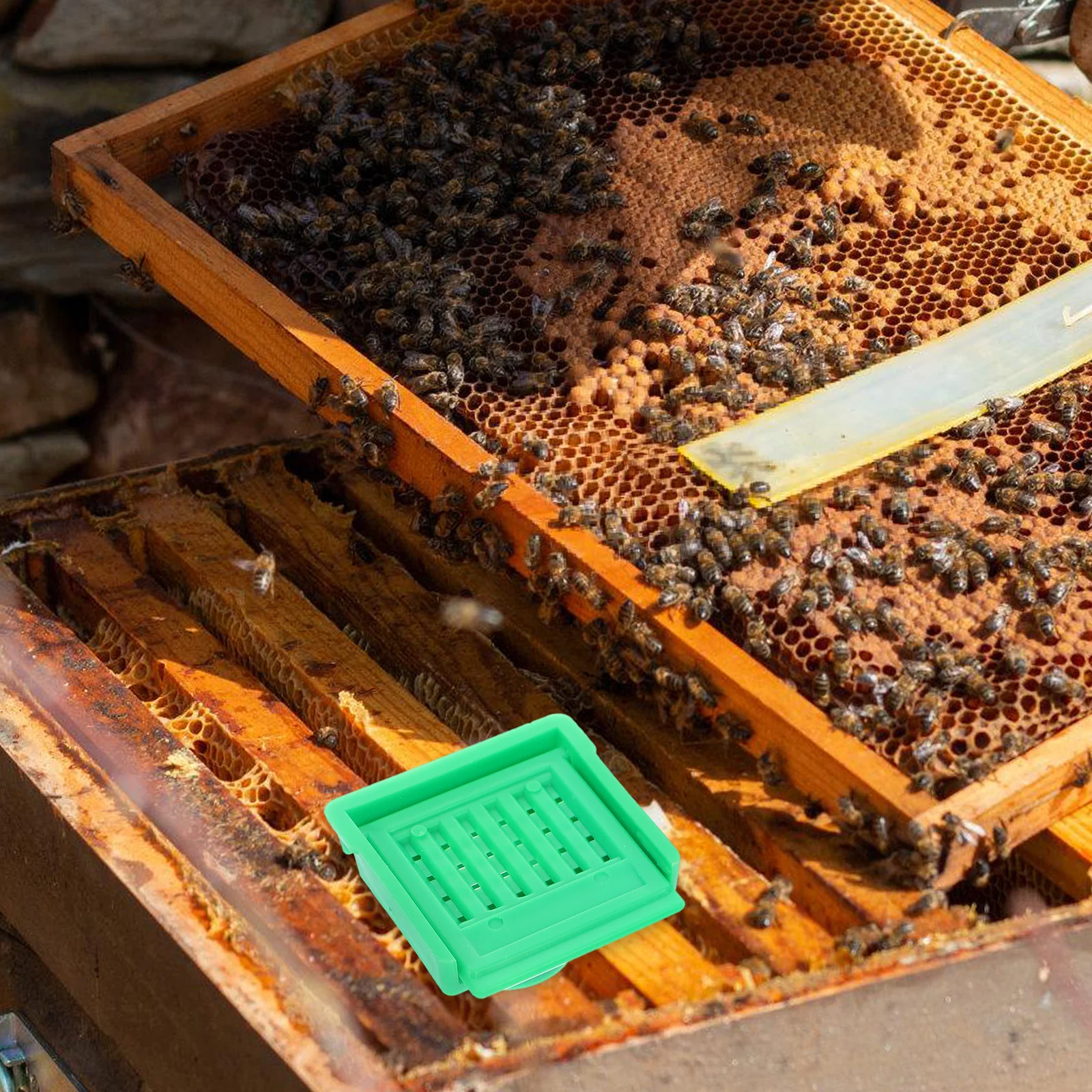 

3Pcs Small Beehive Ventilation Gate Outside Supplies Durable ABS Material Perfectly Designed Mesh Holes Beehive Vent