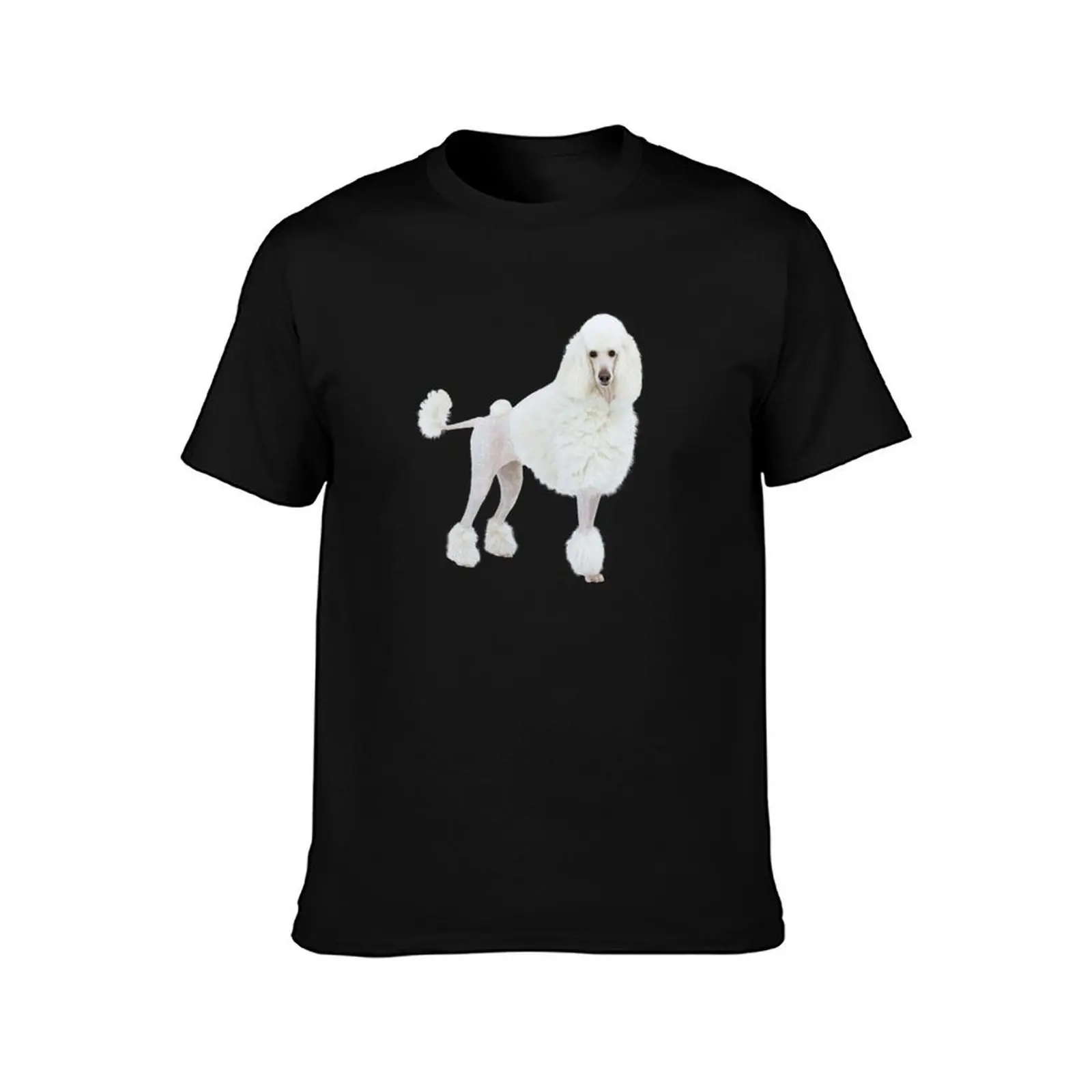 dog big royal white poodle with lion haircut T-Shirt vintage graphic tee summer clothes tshirts for men