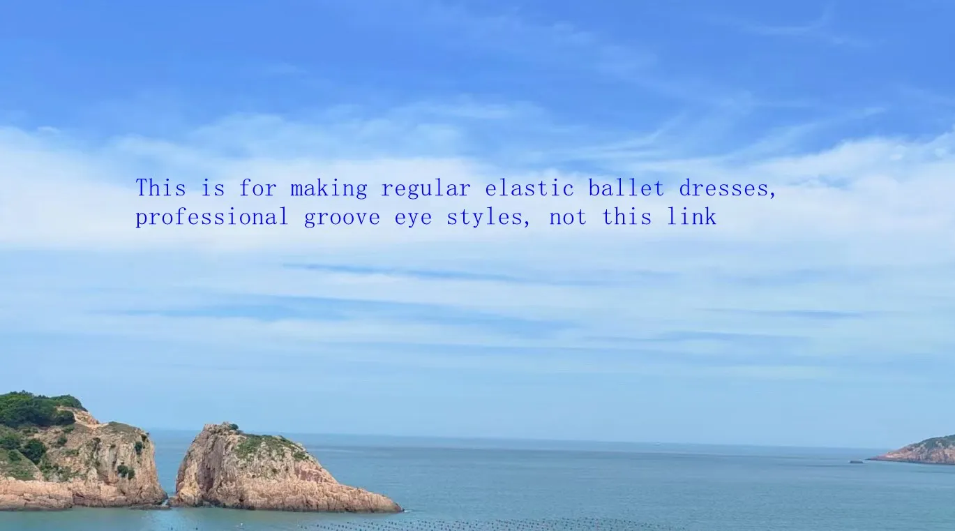 Ragazza Nuova gonna da balletto classica Pancake Tutu costumi su misura Stile elastico e semplice