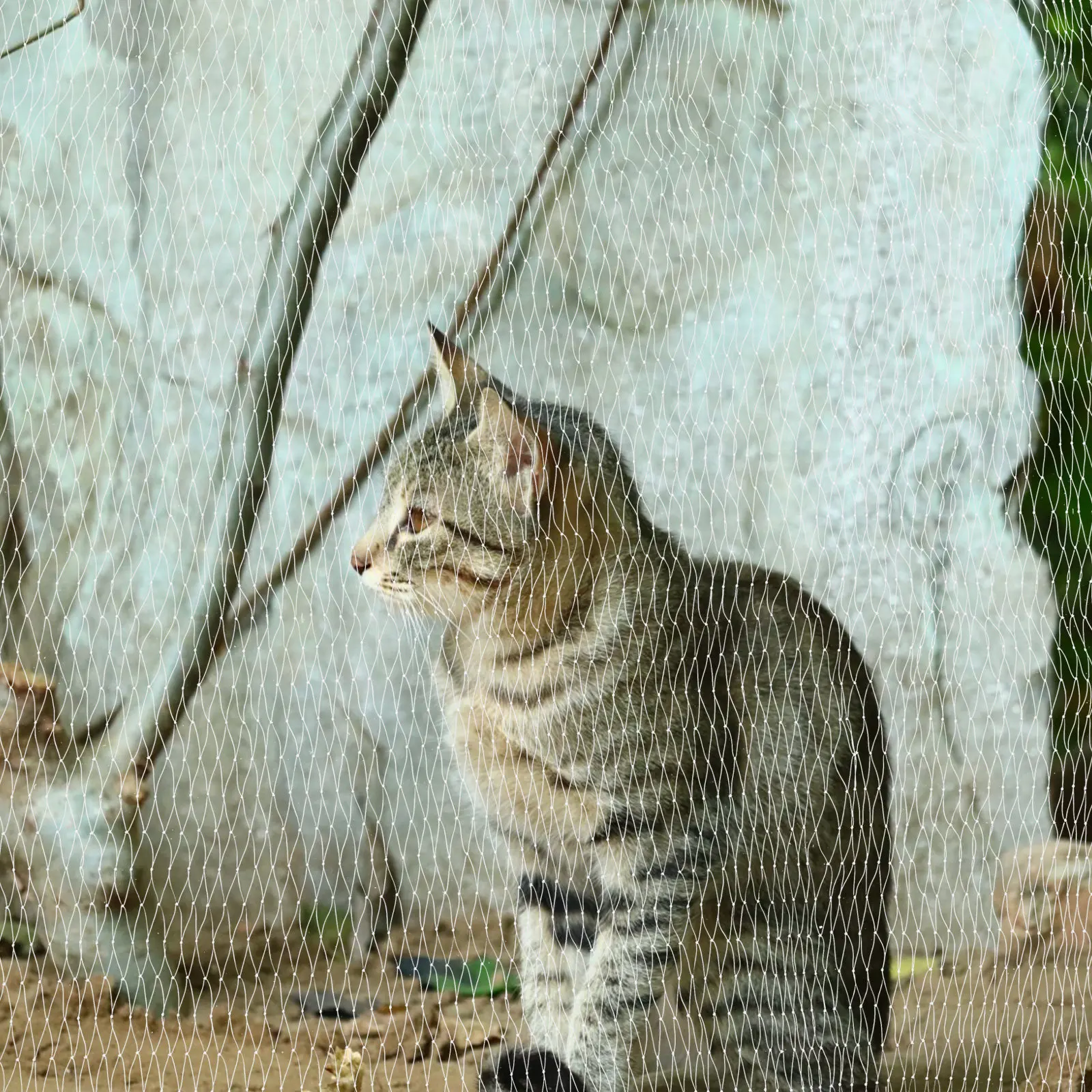 

Защитная сетка для балкона из нейлоновой сетки, сетка для защиты домашних животных, с крепежными стяжками и винтами, простая установка, сетка-ограждение для кошек и собак, предотвращающая падения с балконов