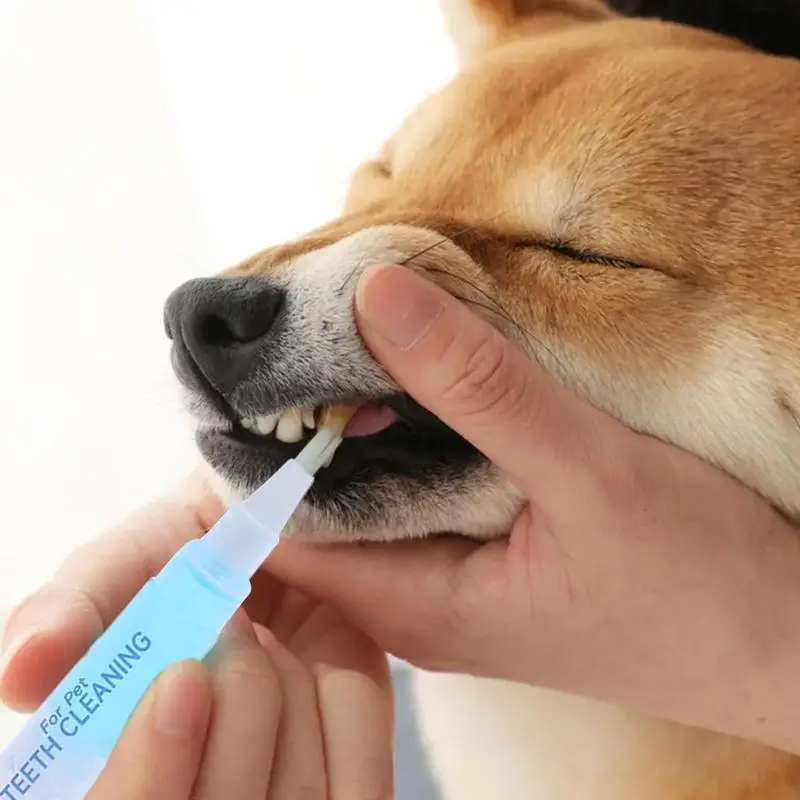 Pet Toothbrush Pen Brightening Cleaning Pen Repairing Pet Toothbrush Pen Teeth Cleaning Freshen Breath Convenient Pet Supplies