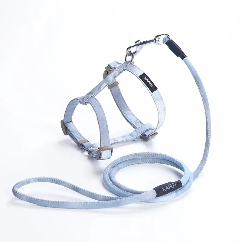 Cat Harness And Leash Set For Walking And Safety In Car_voghion.com