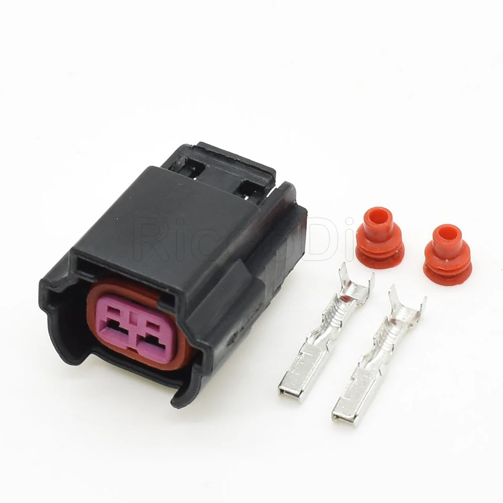 Auto 2pin Plug 6189-1152 VW 06A973722 06A 973 722 Fuel Injector