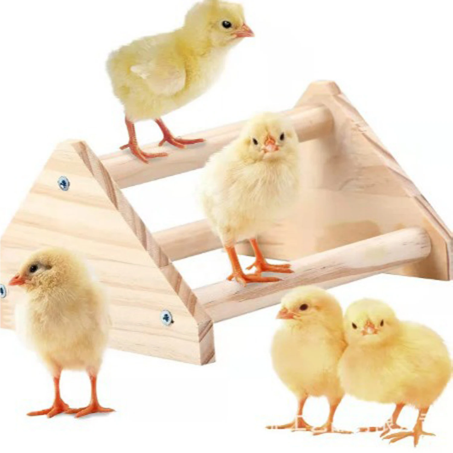 Chicken Perch Chick Jungle Gym Parrots Macaws Hens Training Perch Toys Ideal Perch Bars for Chicks and Parrots