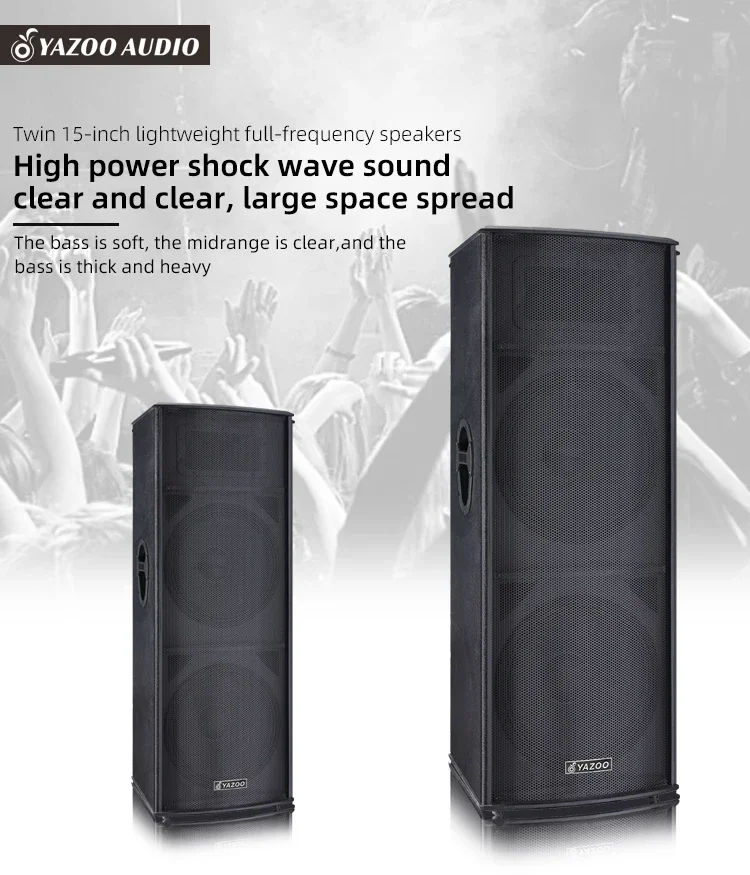 Dual 15-Inch Full Frequency Pro Audio Speakers