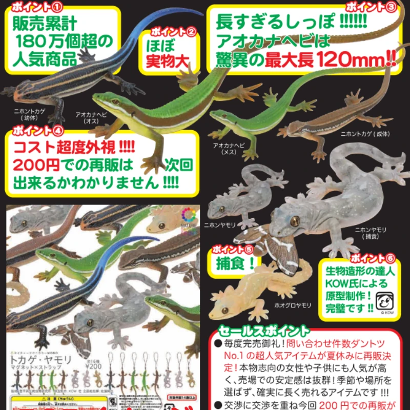 Kitan Club Capsule Toy Lizard Gecko Takydromus Model Toys Miniature Animal Keychain Pendant Lizard Gashapon Toy for Kids Gifts