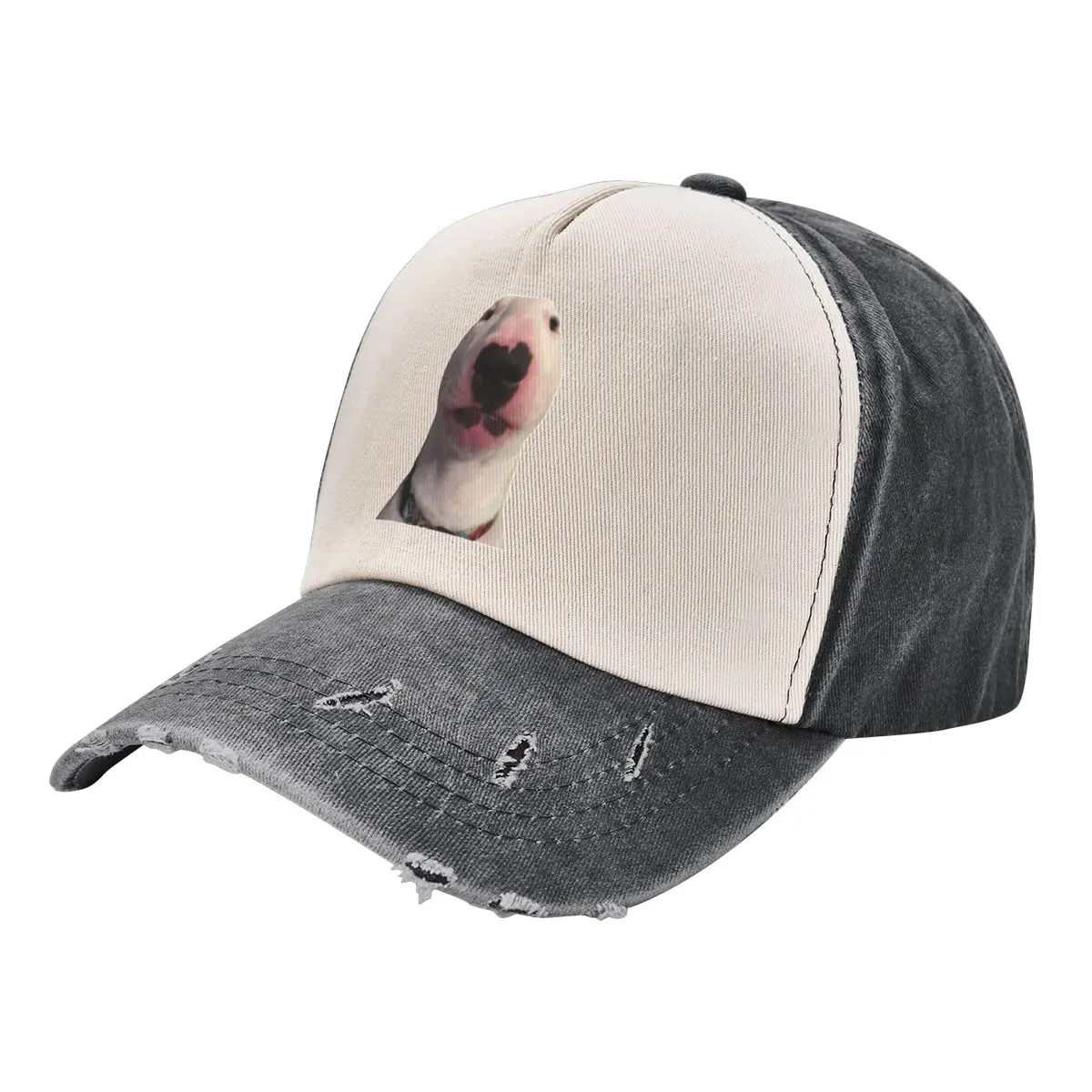 

@PupperNelson: Photo Meme Face Baseball Cap Rugby Trucker Hat Hat Man Luxury funny hat Women's Men's